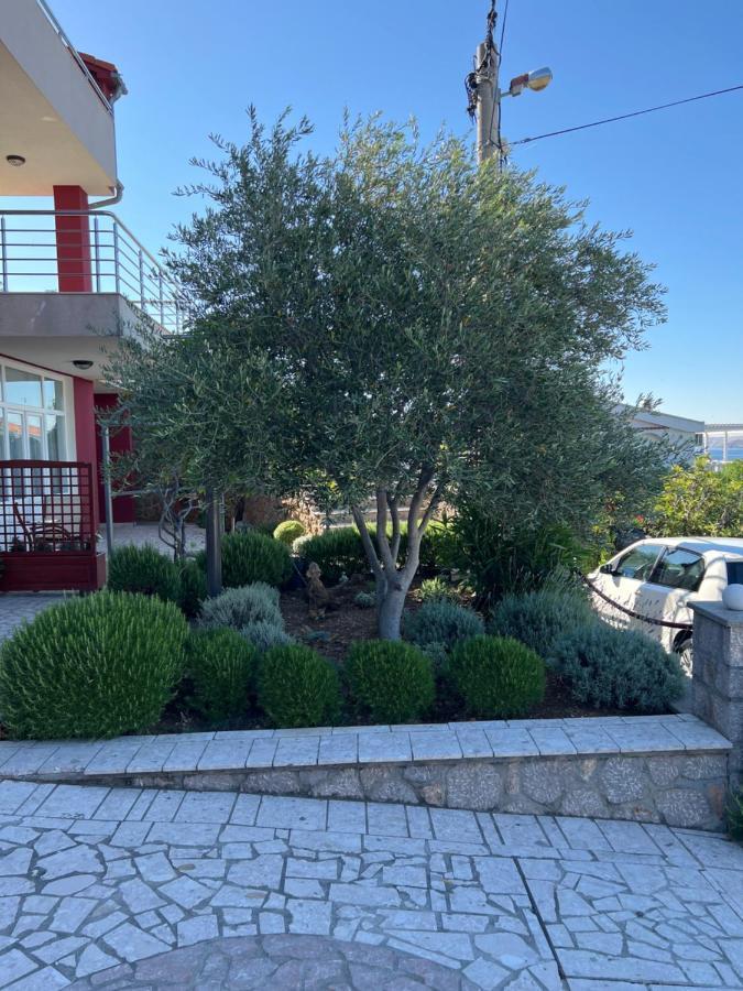 Apartments Angela Cesarica Εξωτερικό φωτογραφία